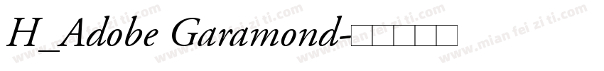 H_Adobe Garamond字体转换